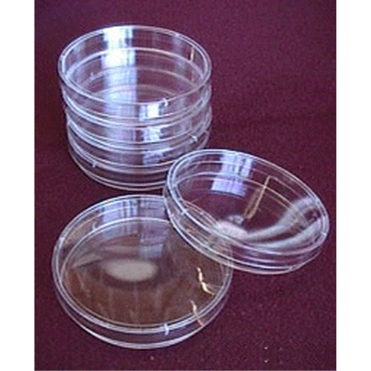Set of clear petri dishes on a maroon background